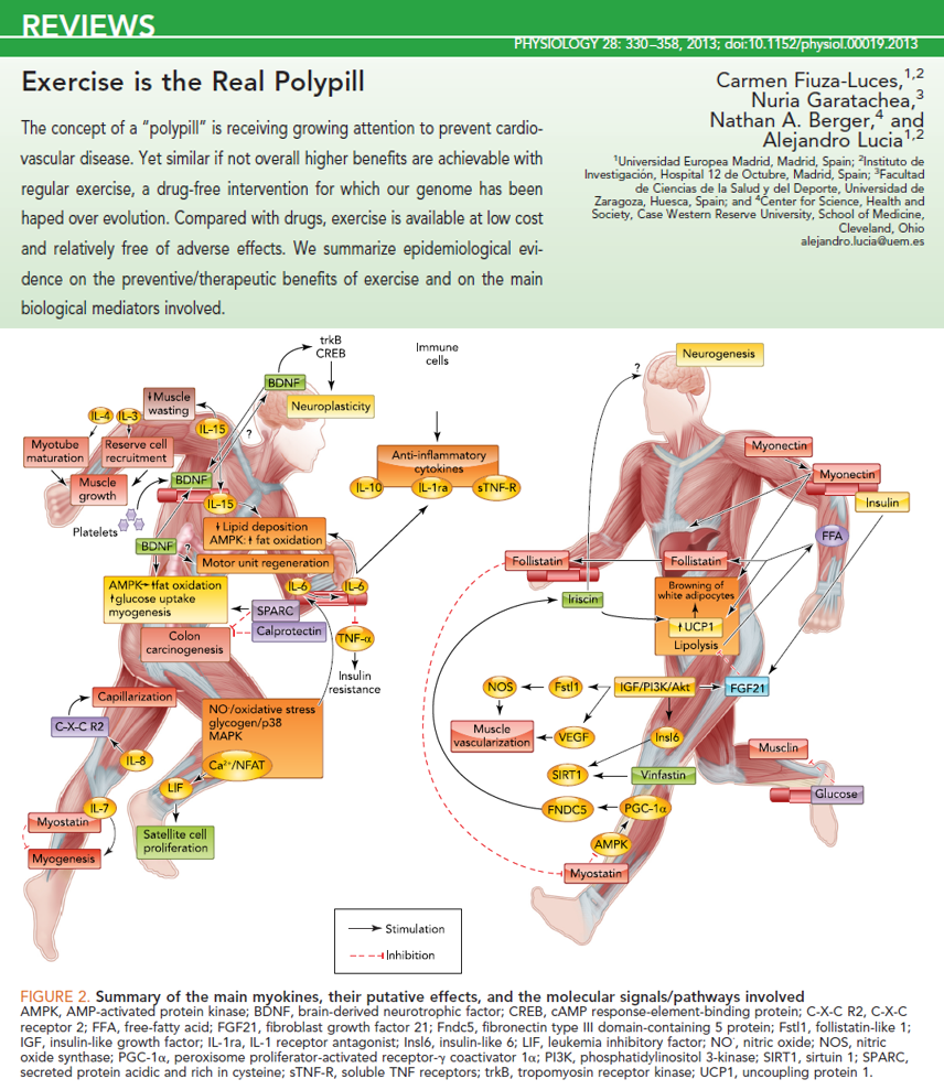 Exercise is the Real Polypill. Physiology, 2013.